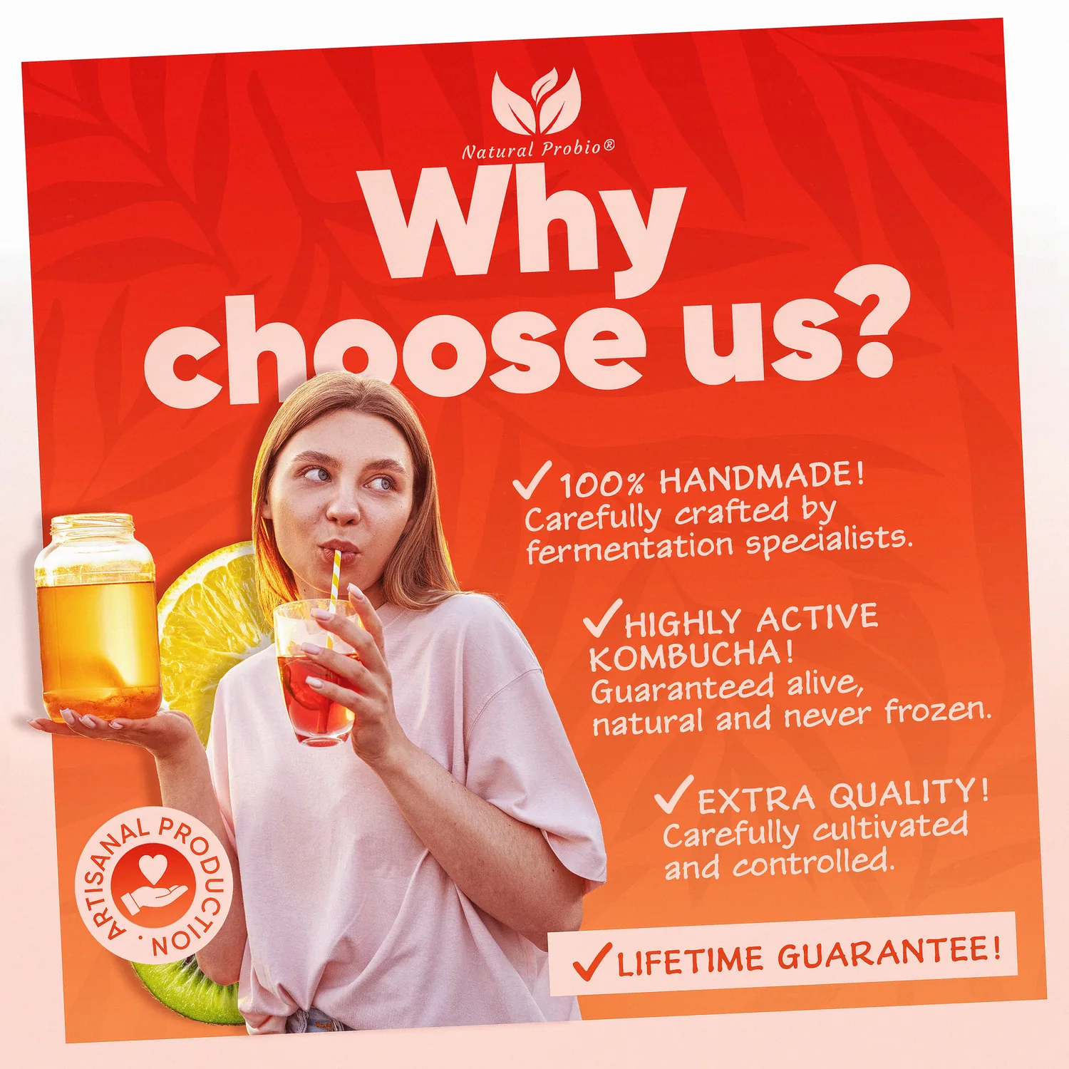 SCOBY de kombucha épais et sain, produit sans moisissures