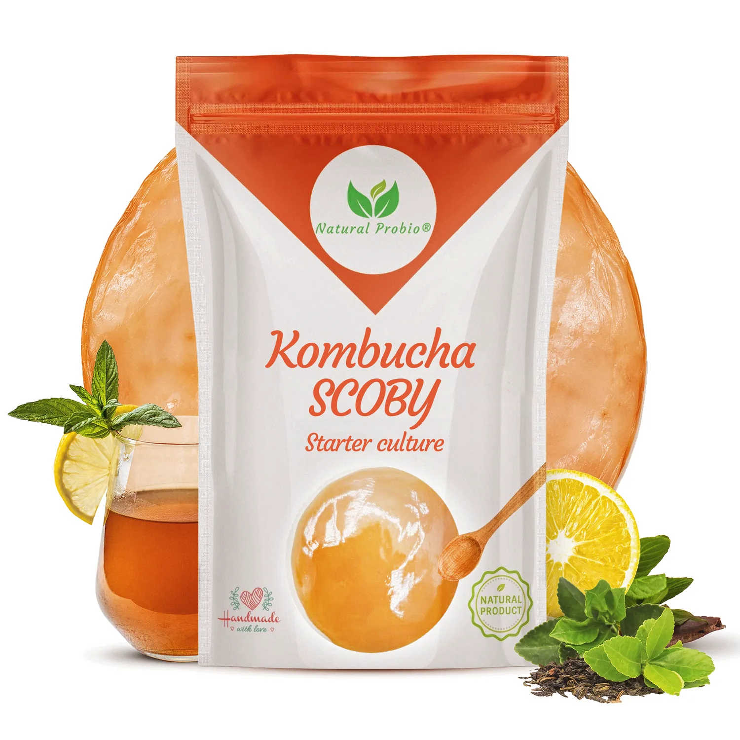 SCOBY de kombucha sain, lisse et humide, sans moisissures