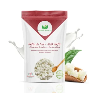 Grains de Kéfir de lait original