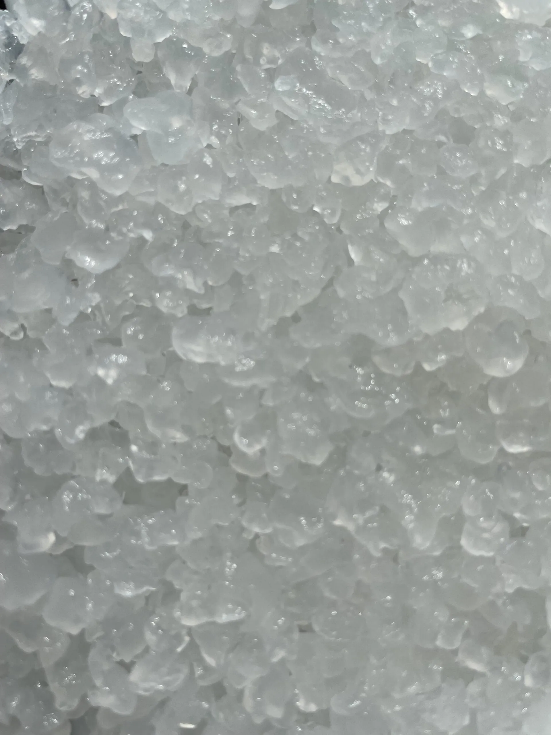 Grains de kéfir d’eau vivants - Natural Probio