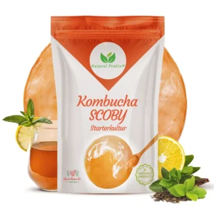 Beutel Kombucha SCOBY Starterkultur von Natural Probio mit Teepilz, Glas Kombucha, Zitrone und Minze
