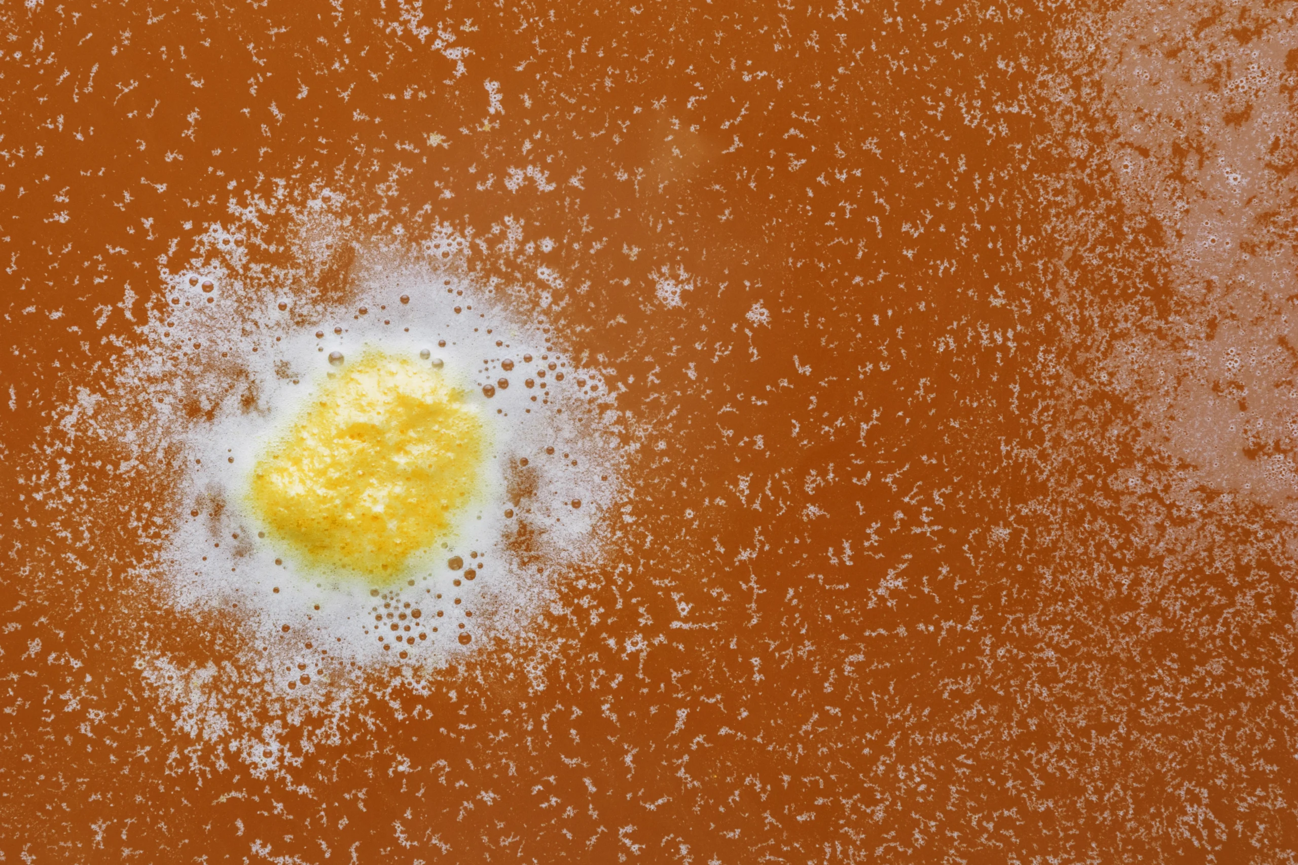 kombucha-et-moisissures-tout-ce-quil-faut-savoir-pour-une-fermentation-saine