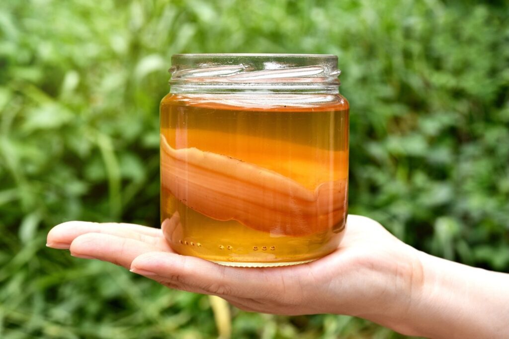 Natural Probio Kefir & Kombucha