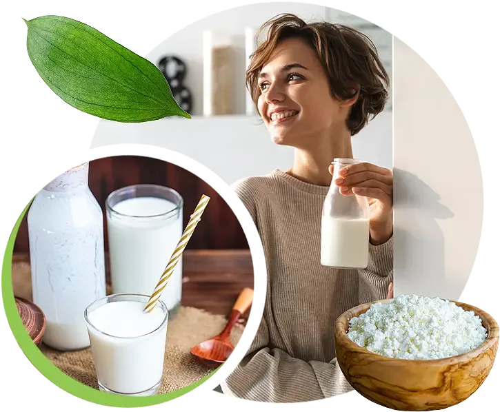 Kéfir Kéfir d'eau Kéfir de fruits Kéfir de lait Grains de Kéfir Kombucha SCOBY