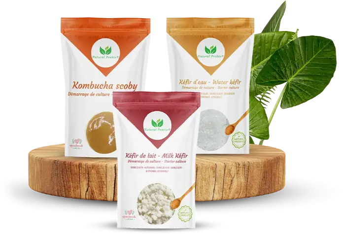 Kéfir Kéfir d'eau Kéfir de fruits Kéfir de lait Grains de Kéfir Kombucha SCOBY