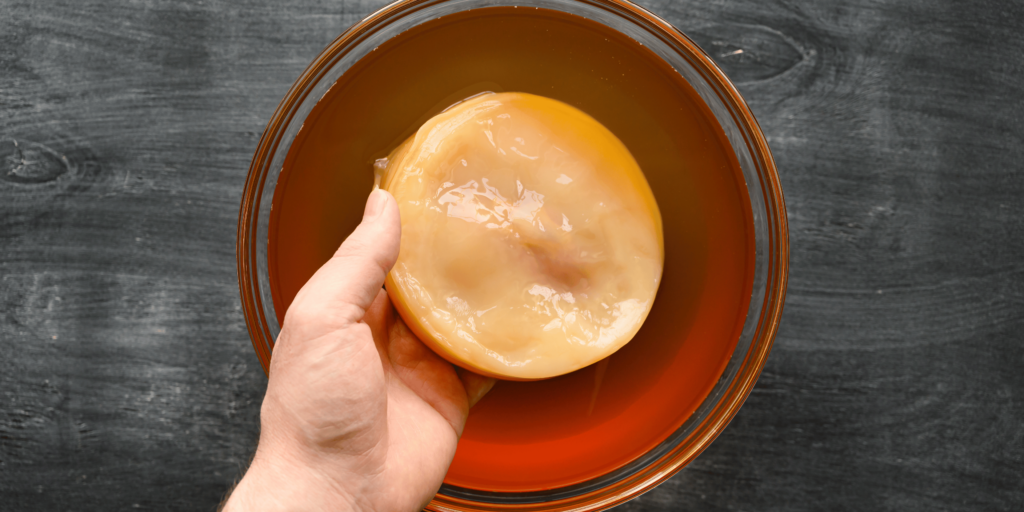 Comment entretenir son SCOBY de kombucha entre deux préparations ?