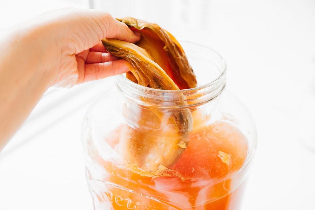 Comment faire un hôtel à SCOBY de kombucha ?