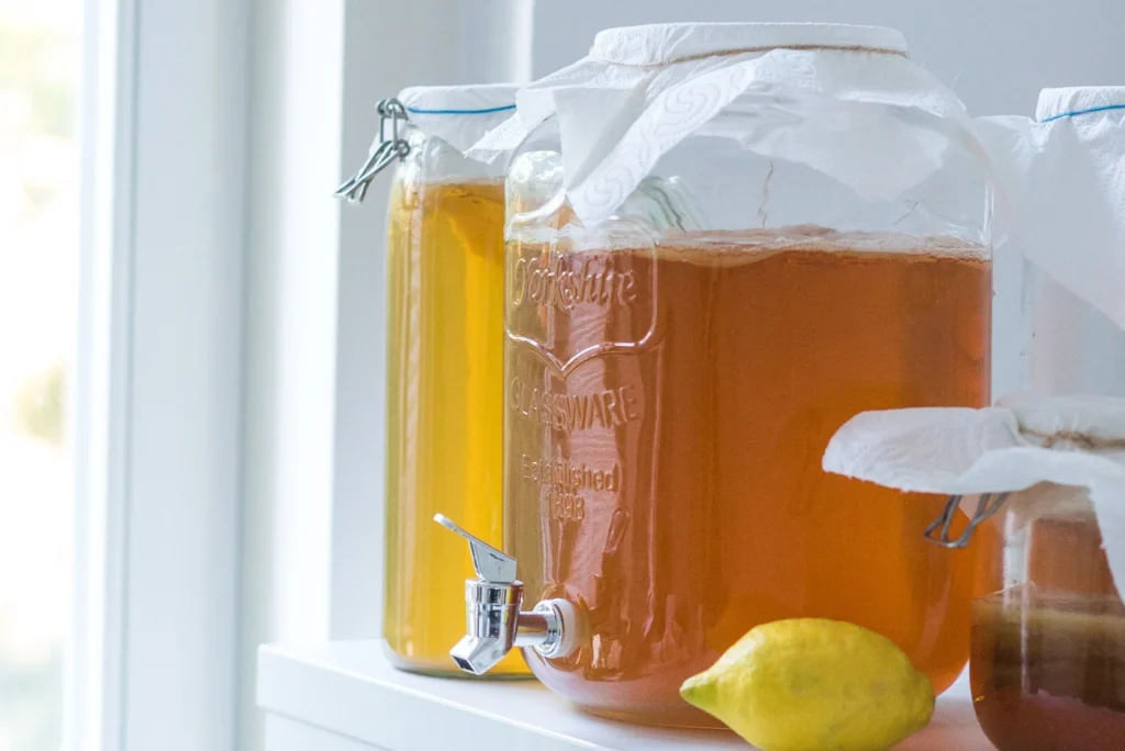 D’où vient le kombucha ?