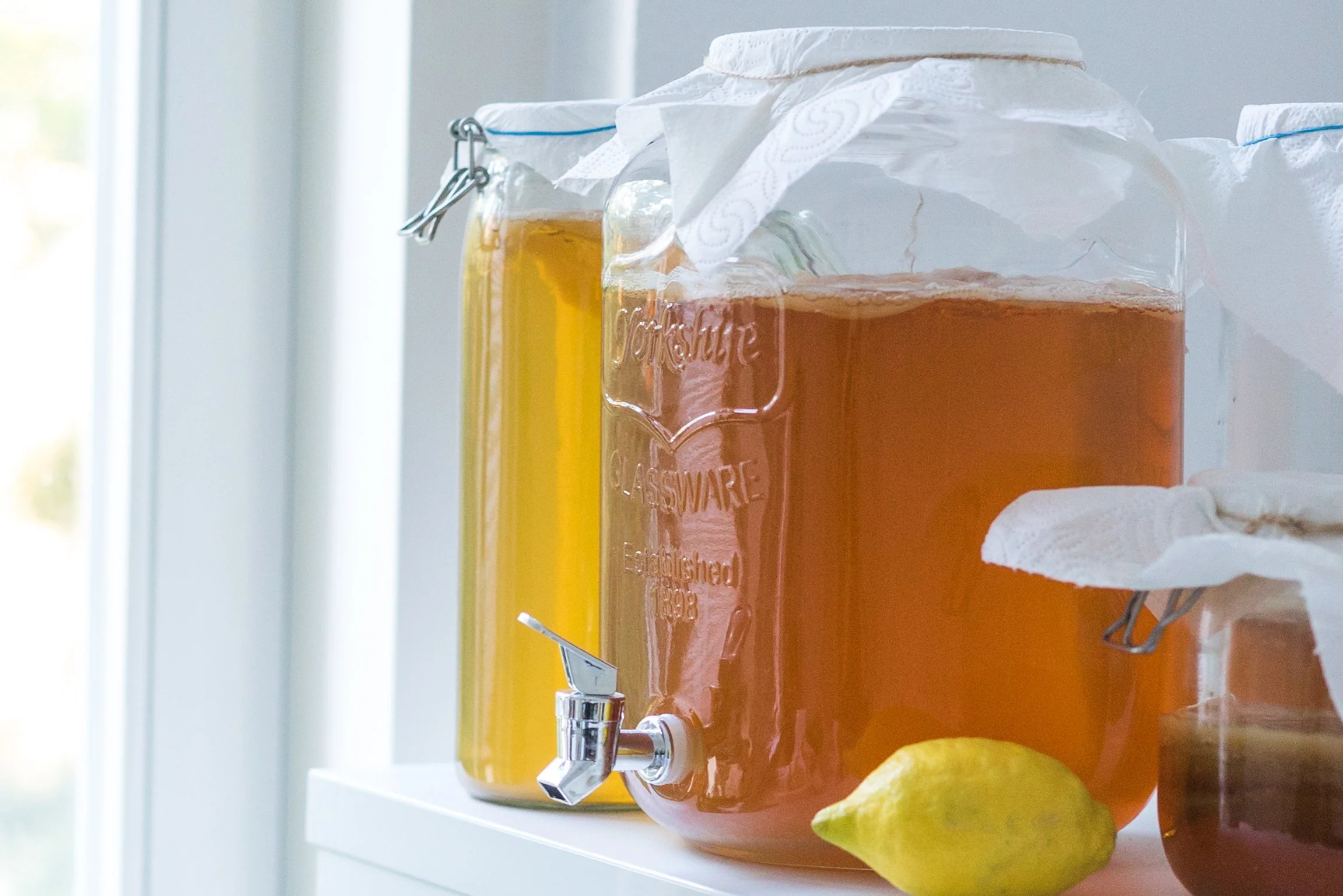 D’où vient le kombucha ?