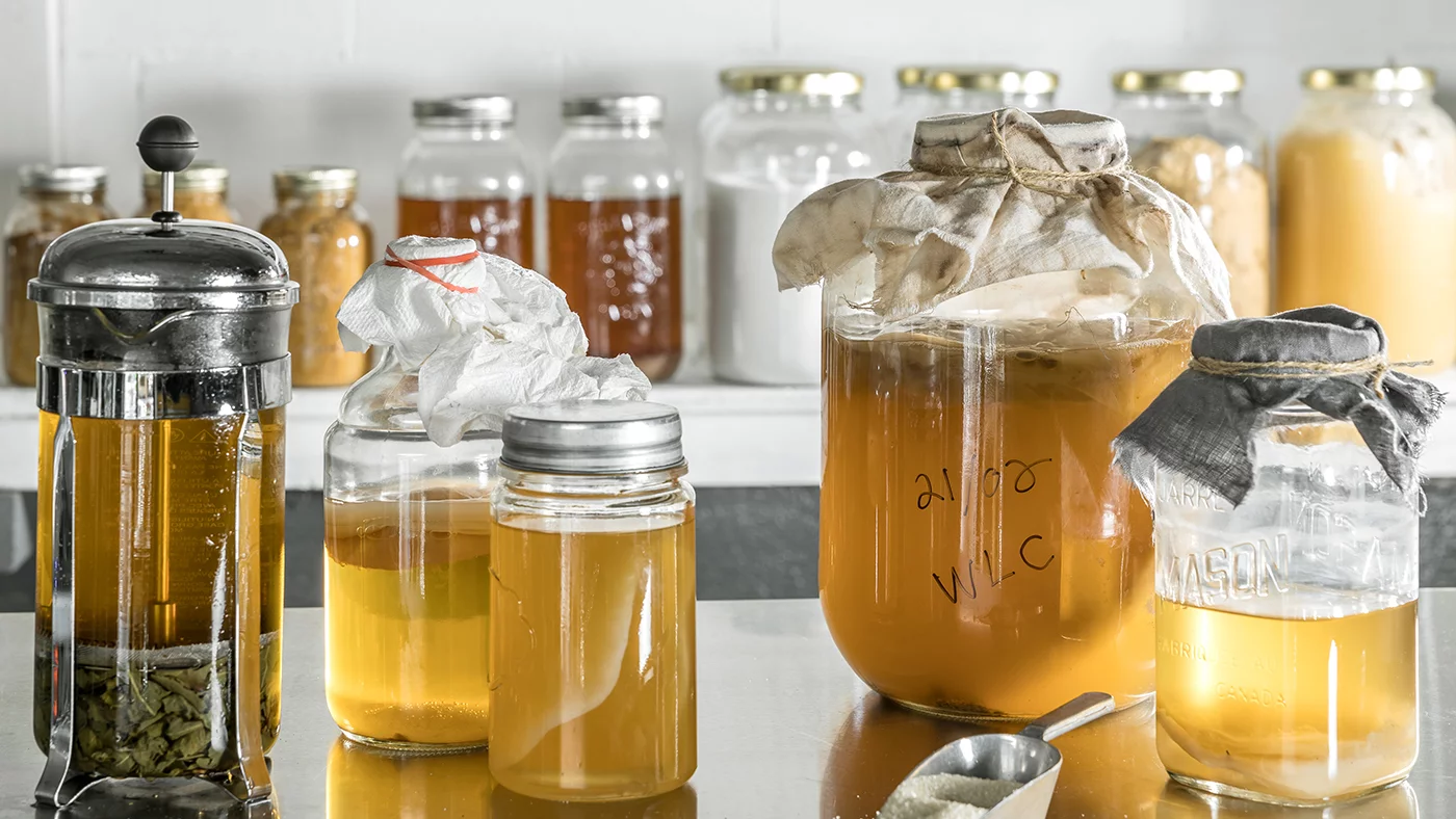 Qual è la differenza tra il kombucha fatto in casa e quello industriale?