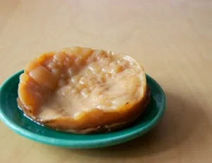 Quelle est la différence entre un SCOBY de kombucha et une mère de vinaigre ?