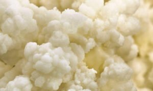 comment-eviter-la-moisissure-dans-le-kefir-deau