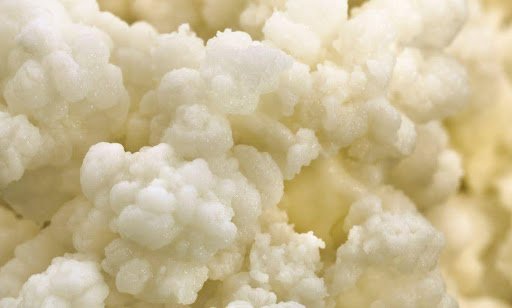 comment-eviter-la-moisissure-dans-le-kefir-deau