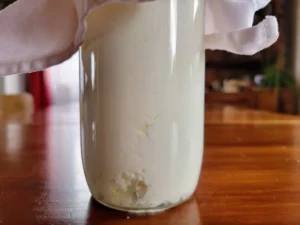 Comment faire du kéfir sans lactose