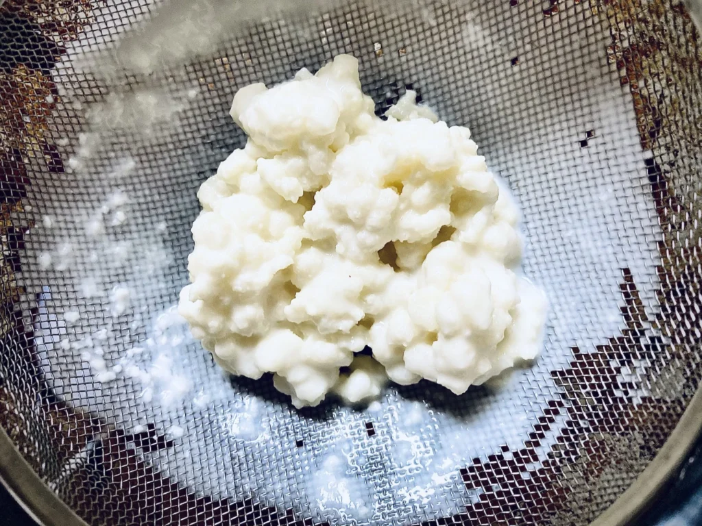 ¿Es bueno el kéfir de leche para la digestión?