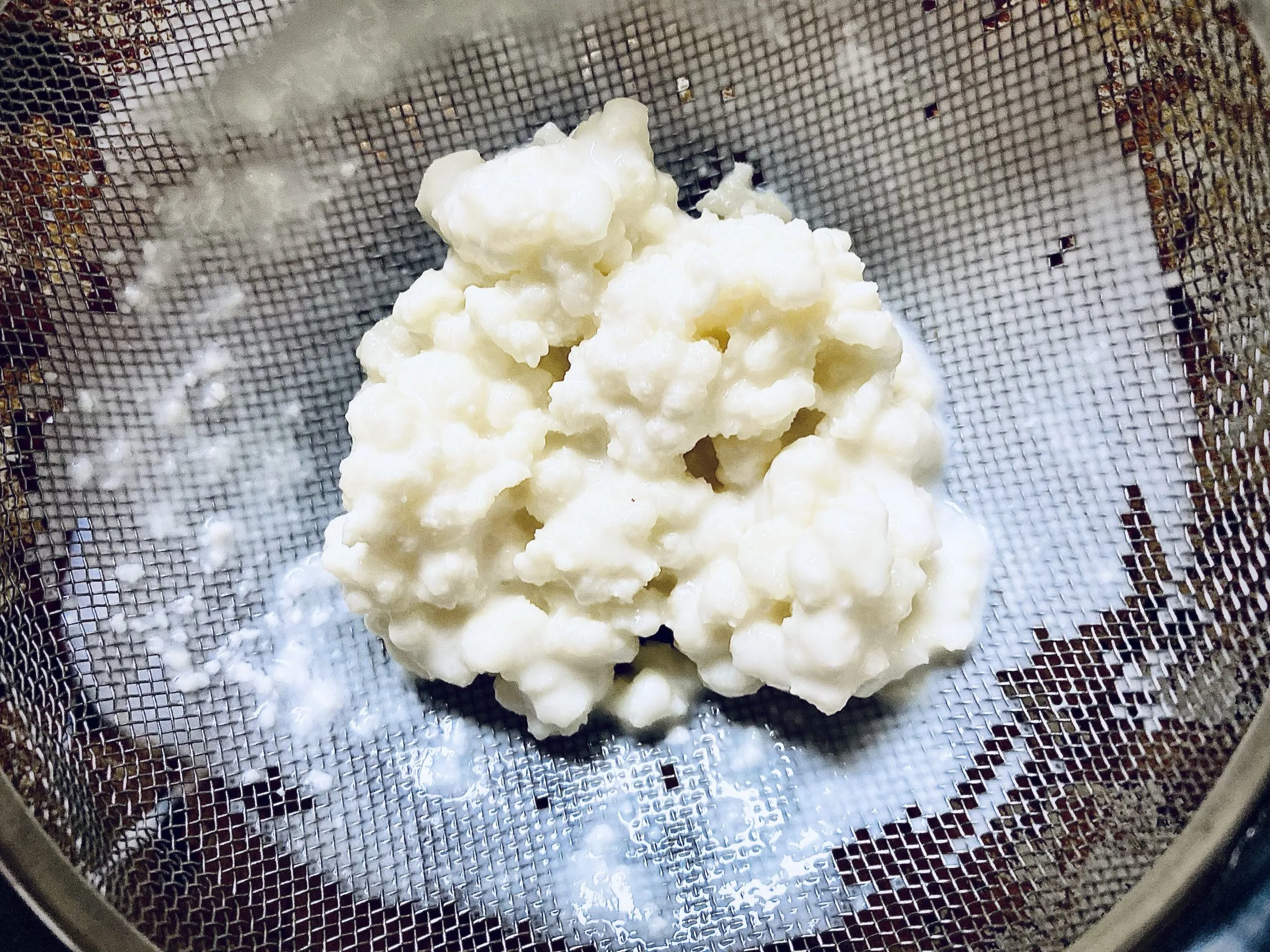 Le kéfir de lait est-il bon pour la digestion ?