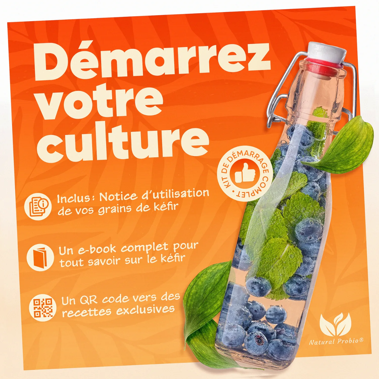 Kit de démarrage du kéfir d'eau avec notice et proportions