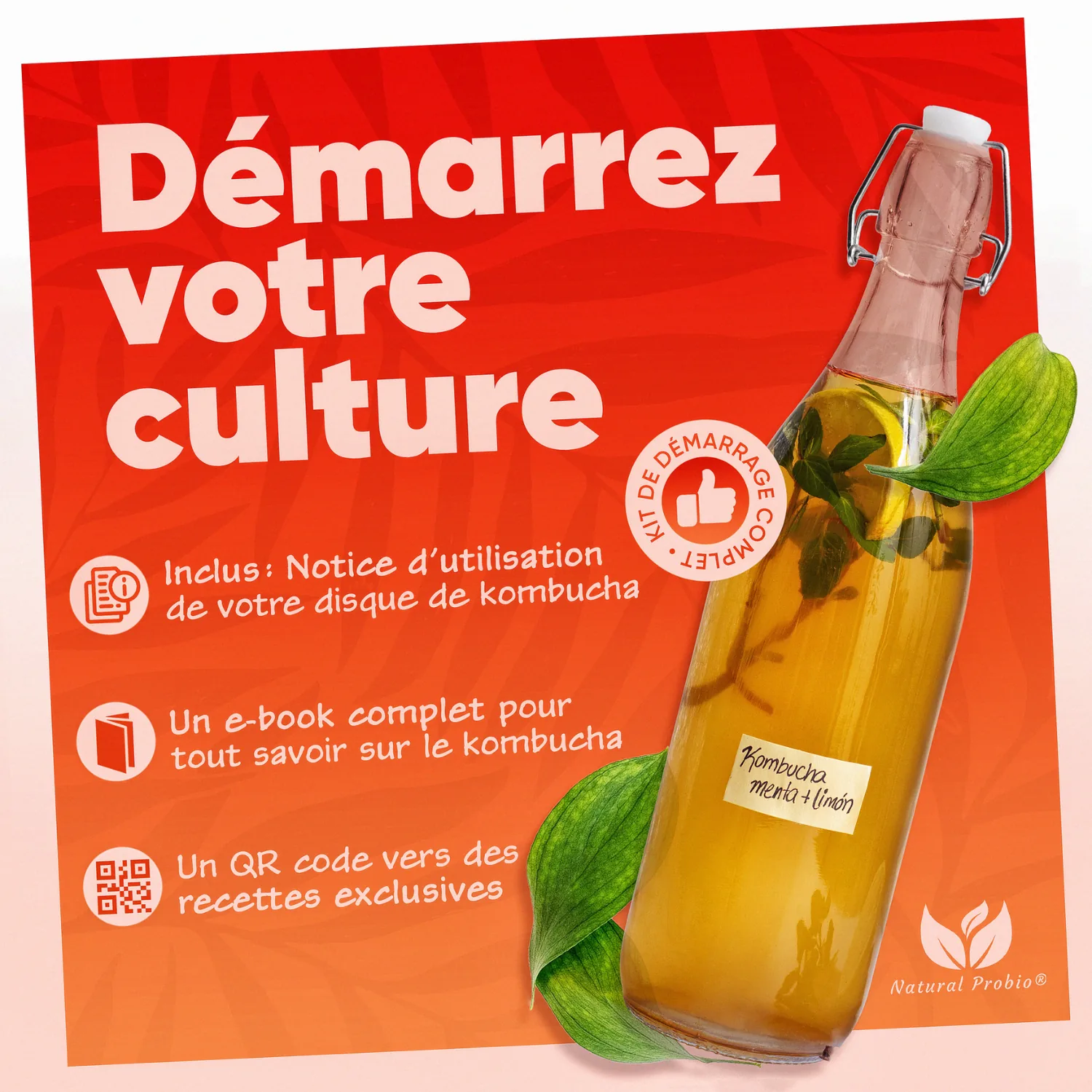 Kombucha SCOBY vivant : votre thé fermenté maison à l'infini 6 Kit de démarrage kombucha complet avec notice d'utilisation, e-book et QR code vers des recettes exclusives
