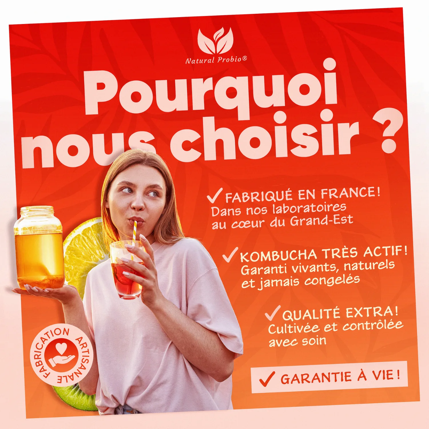 Kombucha SCOBY vivant : votre thé fermenté maison à l'infini 3 Pourquoi choisir Natural Probio : SCOBY de kombucha très actif fabriqué en France, jamais congelé, garantie à vie