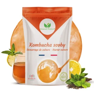 Kombucha SCOBY vivant avec démarreur, culture pour thé fermenté maison Natural Probio
