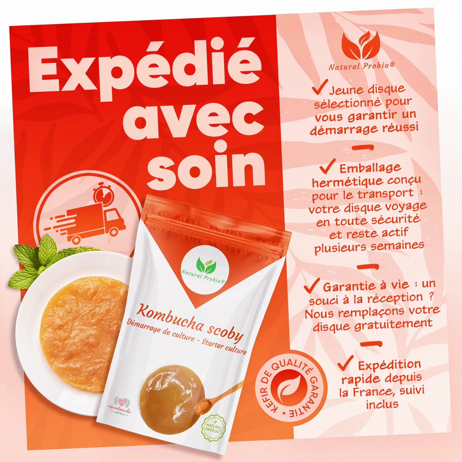 Kombucha SCOBY vivant : votre thé fermenté maison à l'infini 4 SCOBY de kombucha expédié avec soin sous emballage hermétique, expédition rapide depuis la France avec suivi