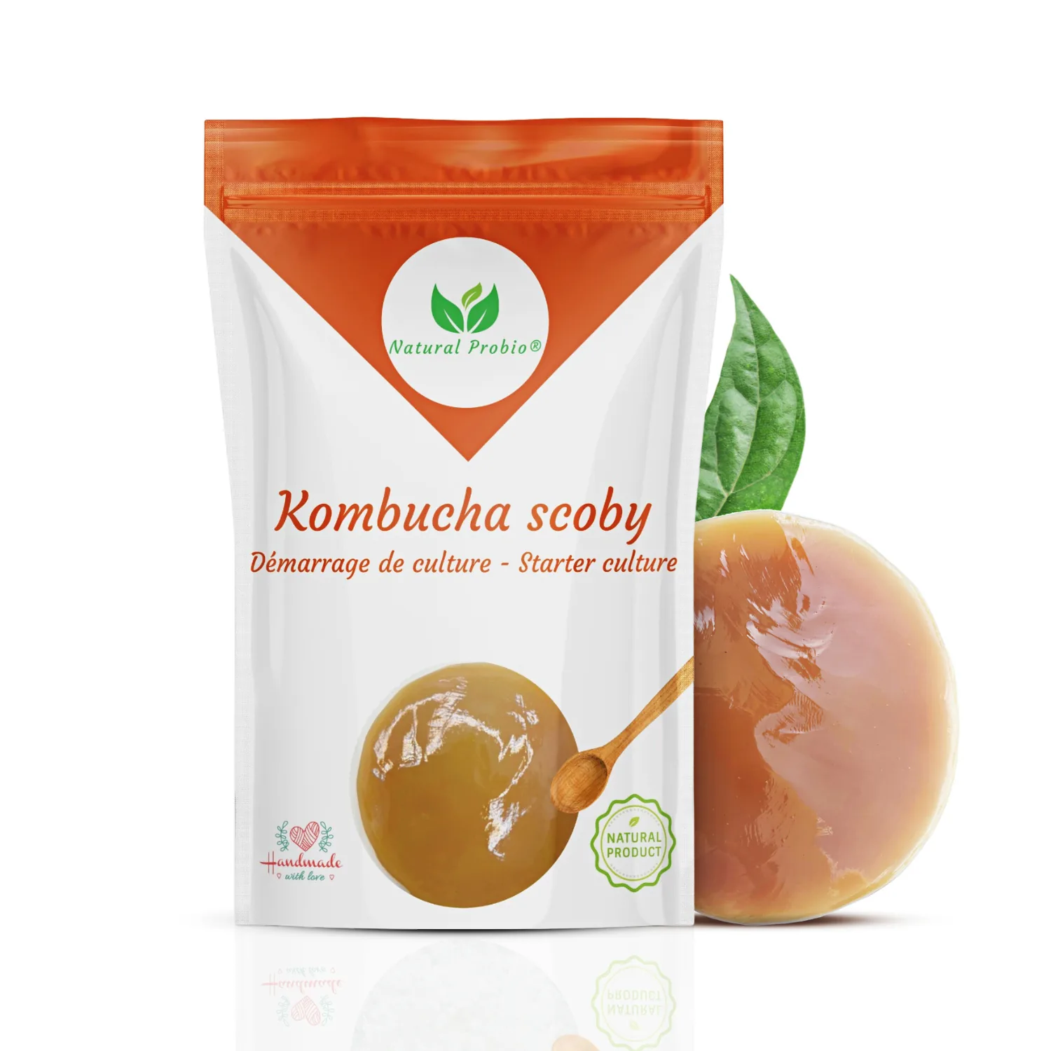 Thé pour kombucha : noir, vert, blanc ou oolong ? 1 SCOBY et thé pour kombucha en fermentation