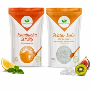 Kefir and kombucha duo: live water kefir grains 30g and kombucha SCOBY - Natural Probio