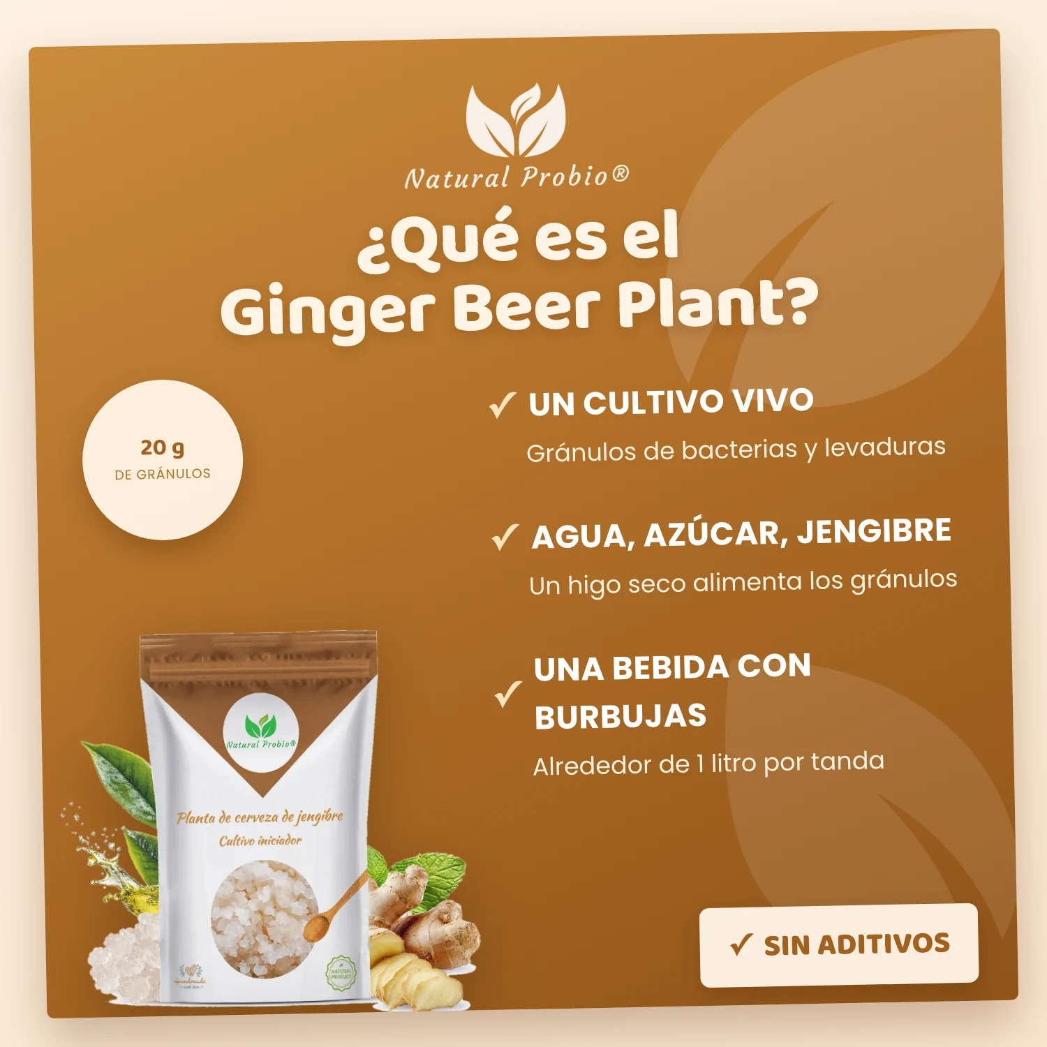 Granos de Kéfir de Jengibre Vivos: tu refresco de jengibre casero sin alcohol 3 Ginger Beer Plant Natural Probio: cultivo vivo para ginger ale casero, 20 g de gránulos