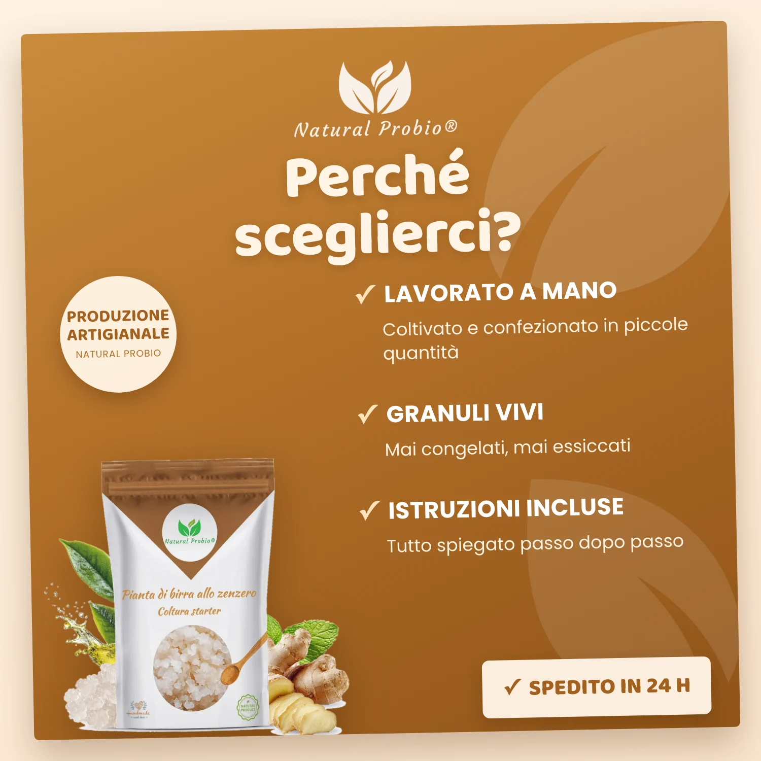Granuli vivi di Ginger Beer Plant (GBP): la tua bibita allo zenzero analcolica fatta in casa 4 Ginger Beer Plant Natural Probio: granuli vivi lavorati a mano, istruzioni incluse