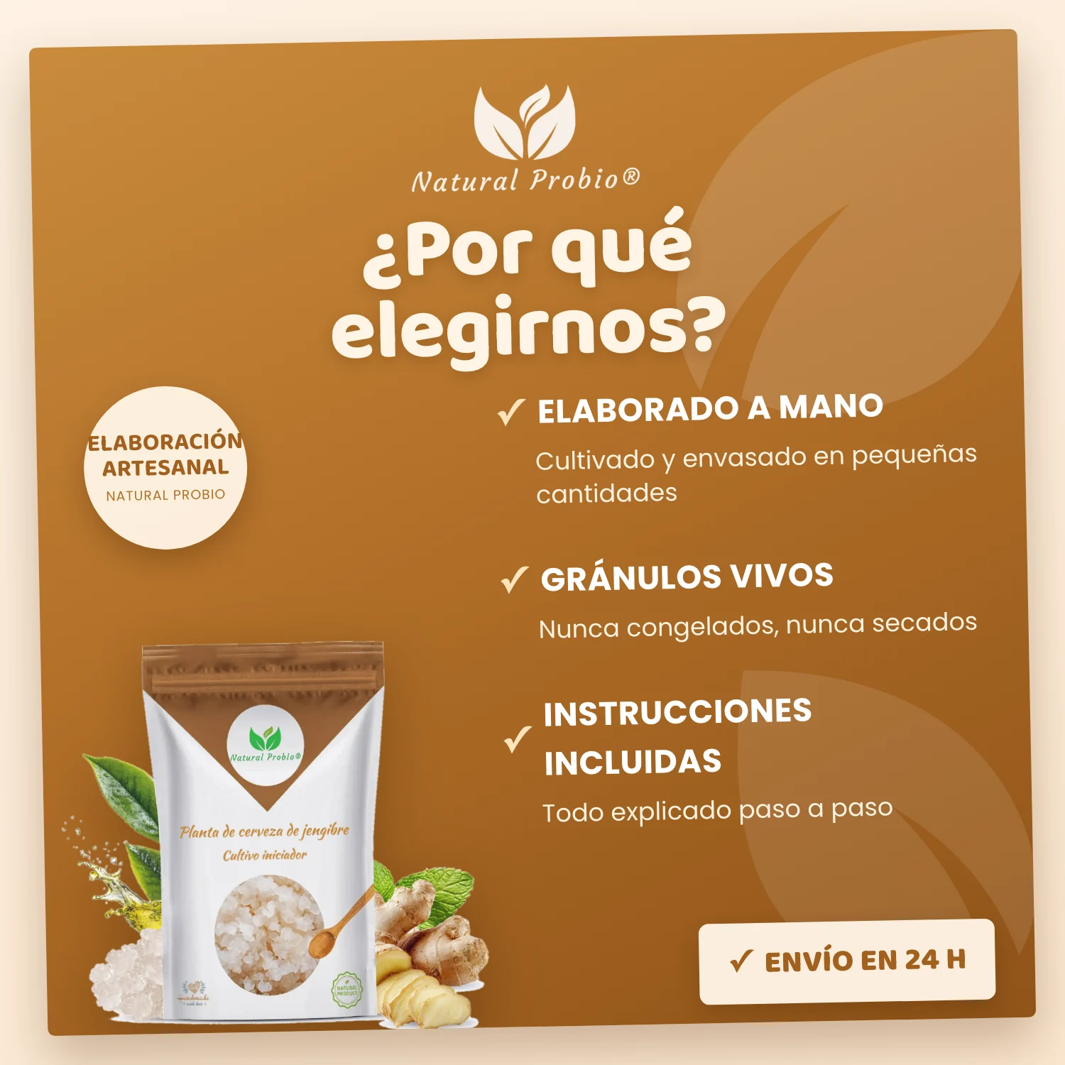 Granos de Kéfir de Jengibre Vivos: tu refresco de jengibre casero sin alcohol 4 Ginger Beer Plant Natural Probio: gránulos vivos elaborados a mano, instrucciones incluidas