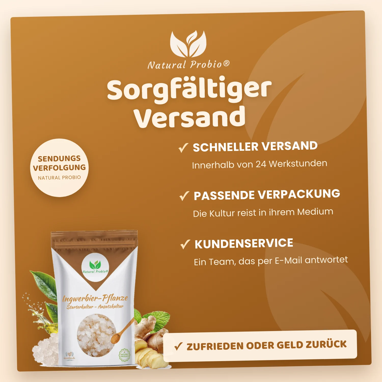 Lebende Ginger Beer Plant (GBP) Kristalle: Ihre selbstgemachte alkoholfreie Ingwerlimonade 6 Ginger Beer Plant Natural Probio: Versand in 24 Stunden in passender Verpackung