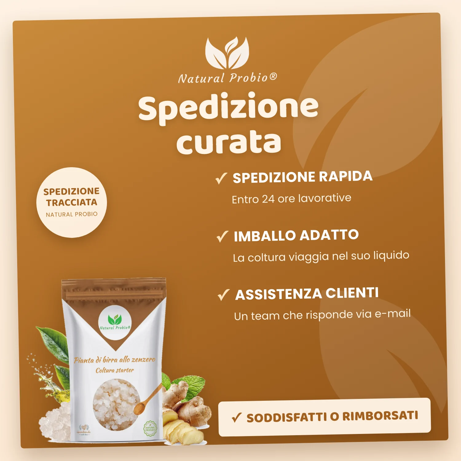 Granuli vivi di Ginger Beer Plant (GBP): la tua bibita allo zenzero analcolica fatta in casa 6 Ginger Beer Plant Natural Probio spedito in 24 ore con imballo adatto