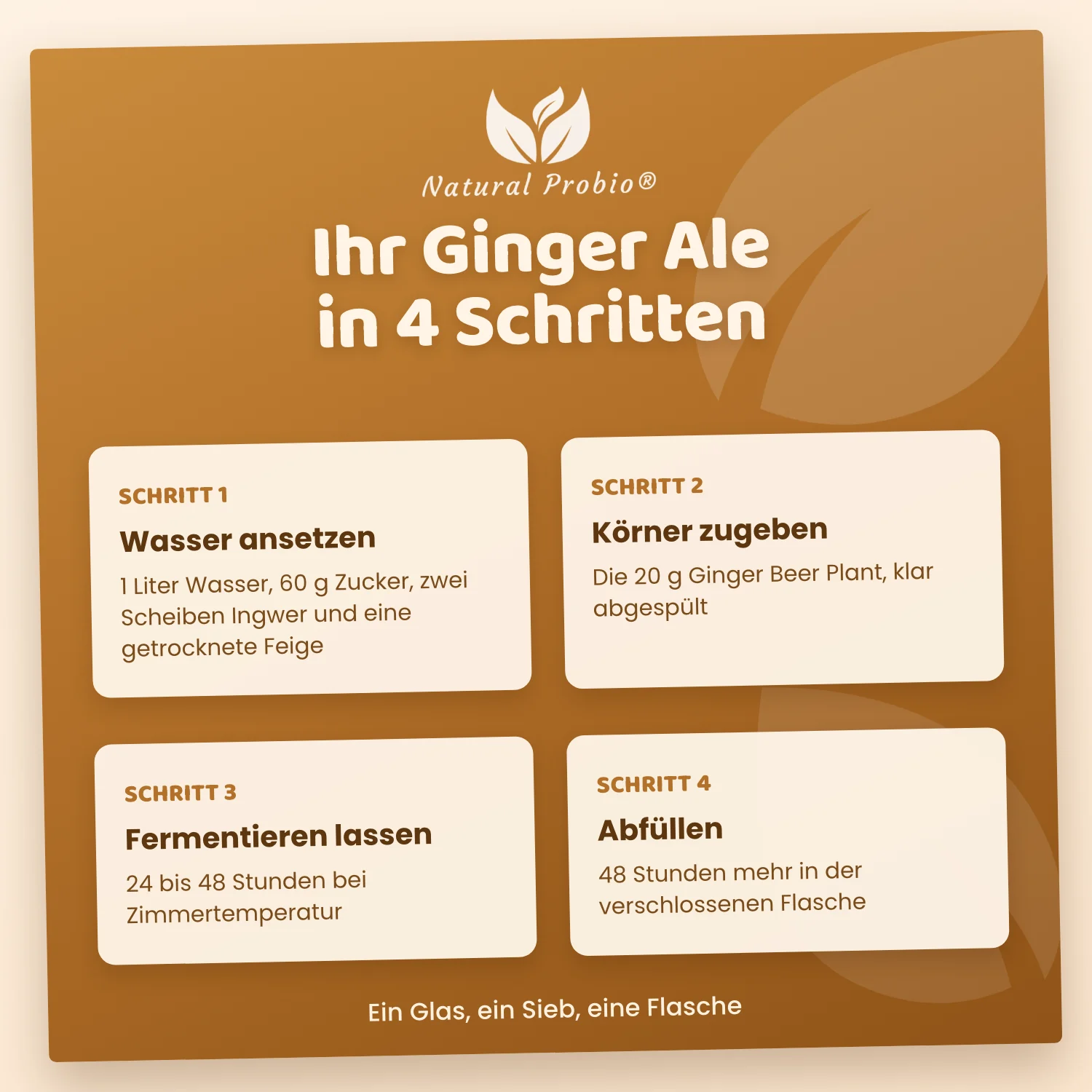 Lebende Ginger Beer Plant (GBP) Kristalle: Ihre selbstgemachte alkoholfreie Ingwerlimonade 5 Rezept für Ingwerbier mit der Ginger Beer Plant in 4 Schritten