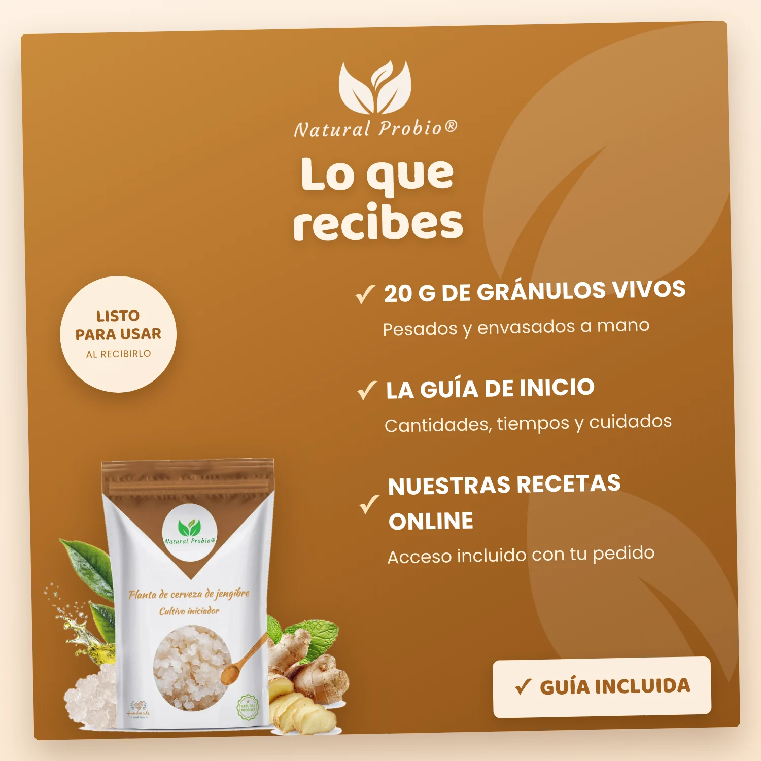 Granos de Kéfir de Jengibre Vivos: tu refresco de jengibre casero sin alcohol 7 Contenido del kit Ginger Beer Plant Natural Probio: 20 g de gránulos, guía y recetas