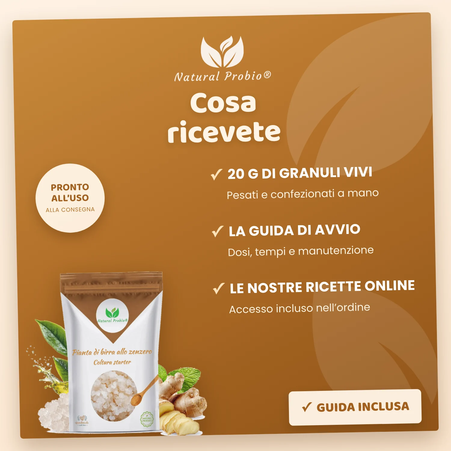 Granuli vivi di Ginger Beer Plant (GBP): la tua bibita allo zenzero analcolica fatta in casa 7 Contenuto del kit Ginger Beer Plant Natural Probio: 20 g di granuli, guida e ricette