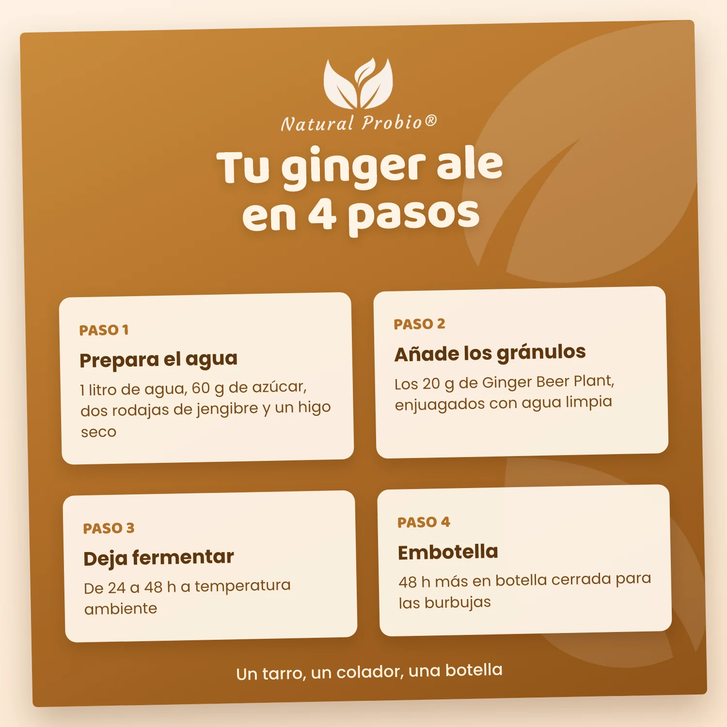 Granos de Kéfir de Jengibre Vivos: tu refresco de jengibre casero sin alcohol 5 Receta del ginger ale casero con el Ginger Beer Plant en 4 pasos