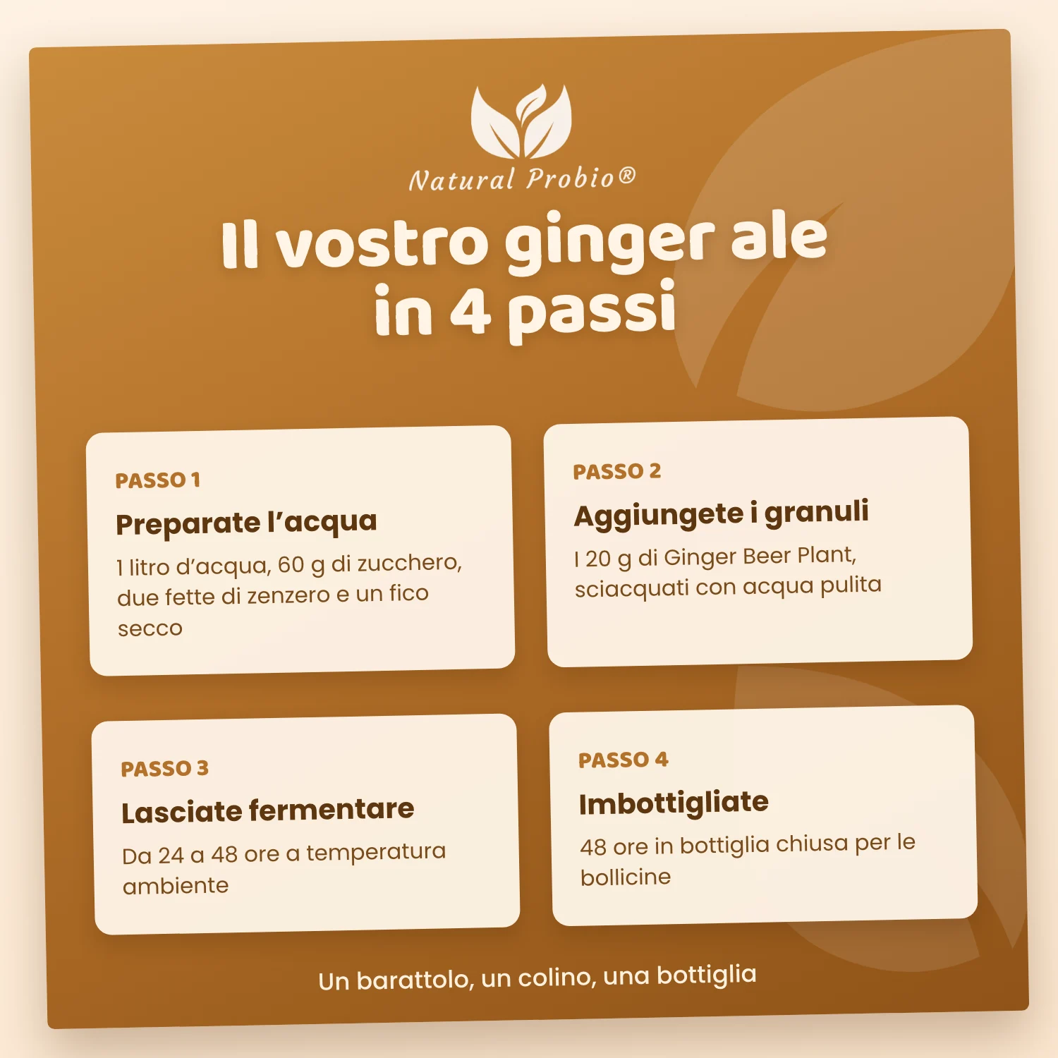 Granuli vivi di Ginger Beer Plant (GBP): la tua bibita allo zenzero analcolica fatta in casa 5 Ricetta del ginger ale fatto in casa con il Ginger Beer Plant in 4 passi