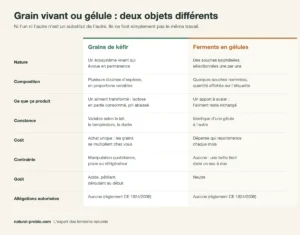 Tableau comparatif entre les grains de kéfir et les ferments en gélules : nature, composition, constance, coût, contrainte, goût et allégations autorisées